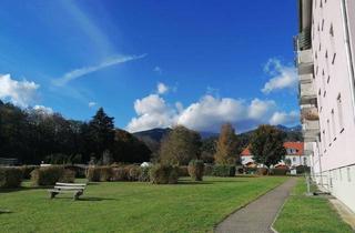 Wohnung mieten in Reichensteinstraße 35, 8793 Trofaiach, Singlewohnung mit tollem Ausblick!