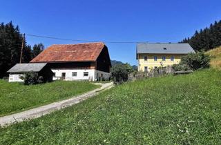 Lager kaufen in 8621 Palbersdorf, Bauernhof - 27.500m² Hofstelle mit umliegenden Wiesenflächen und Wald