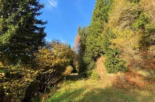 Gewerbeimmobilie kaufen in 9872 Millstatt am See, Schönes Waldgrundstück oberhalb des Millstätter Sees