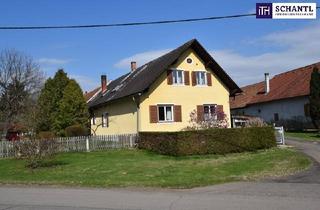 Haus kaufen in 8490 Bad Radkersburg, Ein Ort der Ruhe und Erholung: Idyllisches Landgrundstück mit Wohnhaus und Wirtschaftsgebäude auf 3.600 m² inmitten unberührter Natur bei Bad Radkersburg – Ihr persönliches Paradies