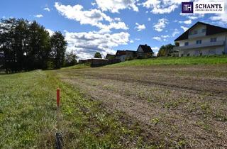 Grundstück zu kaufen in 8524 Bad Gams, Ihr Traumhaus wird Wirklichkeit: Idyllisches Baugrundstück in Bad Gams mit sonniger Südausrichtung, allen Anschlüssen und ruhiger, naturnaher Wohnlage!