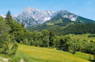 Grundstück zu kaufen in 5761 Hinterthal, Alpenidylle