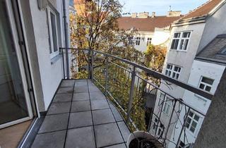 Wohnung mieten in Altes Akh & Alser Straße, 1080 Wien, Wunderschöne ruhige Wohnung im 4.OG mit Balkon, Innenhoflage, nahe altes AKH, mit Garagenoption