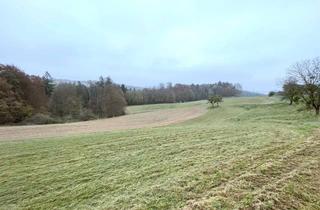 Grundstück zu kaufen in 8082 Kirchbach in Steiermark, Großzügige landwirtschaftliche Flächen