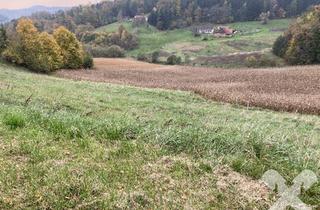 Gewerbeimmobilie kaufen in 8332 Edelsbach bei Feldbach, Ackergrundstück mit Wiese Nähe Feldbach