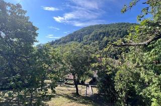 Grundstück zu kaufen in 3622 Mühldorf, Bauplatz mit toller Aussicht, Hausbestand und großen Garten