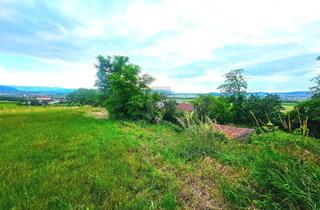 Gewerbeimmobilie kaufen in 2100 Stetten, WEINKELLER MIT GRÜNBLICK