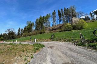 Grundstück zu kaufen in 8720 Knittelfeld, Baugrund am Waldrand mit Traumaussicht