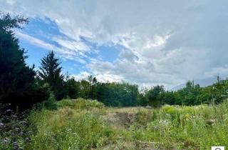 Grundstück zu kaufen in 5081 Anif, Baugrundstück in Premiumlage mit Blick auf den Untersberg