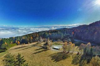 Grundstück zu kaufen in 9552 Steindorf am Ossiacher See, Ossiacher See Feldkirchen Alm-Grundstücke Zweitwohnsitz Freizeitwohnsitzwidmung