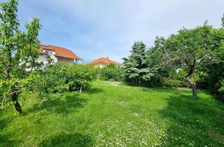 Haus kaufen in Fasangasse, 7051 Großhöflein, WOW! Erfüllen Sie Ihren Traum vom eigenen Haus! 8 Zimmer + Riesiger Garten + Viel Grün + Traumterrasse mit Fernblick! Mehr Lebensqualität - Mehr vom Leben! Jetzt zugreifen!