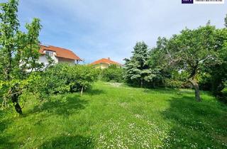 Einfamilienhaus kaufen in Fasangasse, 7051 Großhöflein, WOW! Erfüllen Sie Ihren Traum vom eigenen Haus! 8 Zimmer + Riesiger Garten + Viel Grün + Traumterrasse mit Fernblick! Mehr Lebensqualität - Mehr vom Leben! Jetzt zugreifen!