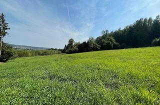 Grundstück zu kaufen in 8181 Sankt Ruprecht an der Raab, Grundstück mit Flair in idyllischer Lage