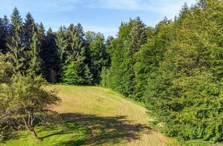 Einfamilienhaus kaufen in Kolmegg 61, 8076 Vasoldsberg, Ruhiges Domizil unweit von Graz - Grundstück mit Einfamilienhaus und Wald