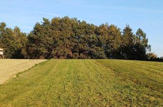 Gewerbeimmobilie kaufen in 4941 Mehrnbach, Landwirtschaftlicher Nutzgrund, Wiese und Wald