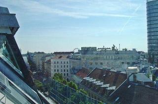 Wohnung mieten in Schwedenplatz, 1020 Wien, Großzügiges-2-Zimmer-DG-Appartement mit Terrasse - Unweit Urania und Schwedenplatz - in Topausstattung