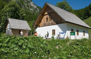 Gewerbeimmobilie mieten in Bodinggraben 2, 4591 Molln, Vermietung der Nationalpark Versorgungsstation Jägerhaus im Bodinggraben