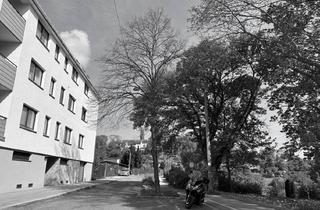 Wohnung mieten in Steinbüchlweg, 1190 Wien, Gemeinschaftsgarten, Garagenstellplatz - Neubauwohnung mit Loggia