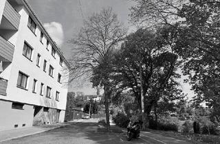 Wohnung mieten in Steinbüchlweg, 1190 Wien, Gemeinschaftsgarten, Garagenstellplatz - Neubauwohnung mit Loggia