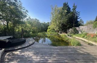 Einfamilienhaus kaufen in 2344 Maria Enzersdorf, Einfamilienhaus mit Schwimmbiotop in bester Lage gegenüber der Burg Liechtenstein! Top Lage Maria Enzersdorf!