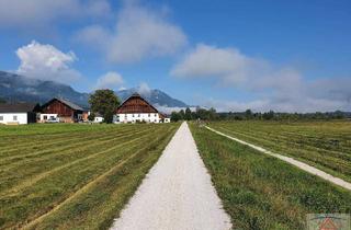 Gewerbeimmobilie kaufen in 3944 Langschwarza, Äcker u. Wiesen im Waldviertel