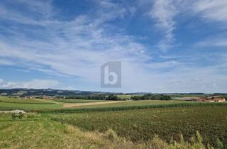 Grundstück zu kaufen in 4733 Heiligenberg, Preisreduktion! HERRLICHER AUSBLICK IN SCHÖNER RUHELAGE!