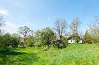 Grundstück zu kaufen in 4650 Hagenberg, Baugrundstück mit Ausblick und viel Platz