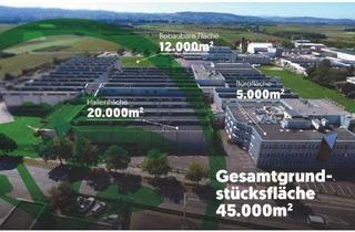 Büro zu mieten in 3430 Tulln an der Donau, Wir entwickeln Ihr Wunschprojekt auf 12.000 m2 Betriebsbaugrund Details auf Anfrage