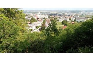 Grundstück zu kaufen in 7000 Eisenstadt, Absolute Rarität – Grundstück am Leithagebirge mit herrlichem Fernblick