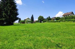 Grundstück zu kaufen in 9535 Schiefling, Ihr Baugrund am Wörthersee: 5.098 m² in Toplage von Schiefling