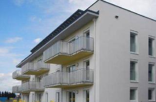 Wohnung mieten in Grillenbergsiedlung 2/2/5, 3451 Michelhausen, Geförderte 3 Zimmer Wohnung mit Terrasse und Eigengarten | Miete mit Kaufoption