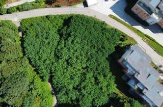 Grundstück zu kaufen in Berg, 9073 Klagenfurt, Perfekter Bauplatz in Viktring: Sonne, Ruhe und Bergblick inklusive