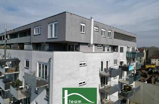 Wohnung kaufen in Schönaugürtel, 8010 Graz, ANLEGERHIT zu Verkaufen !!! Direkt an der Mur stehen derzeit schöne 1-3 Zimmer Wohnungen mit sonnigem Balkon zum Verkauf. - WOHNTRAUM