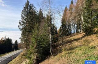 Grundstück zu kaufen in 9431 Sankt Stefan, Herrliches Baugrundstück auf der Koralpe