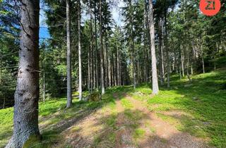 Gewerbeimmobilie kaufen in 4294 Rehberg, 3 ha Waldfläche im Bezirk Freistadt!