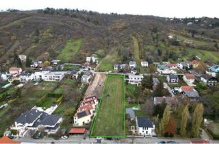 Grundstück zu kaufen in Kellergasse 144-146, 2103 Langenzersdorf, Großflächiges, teilbares Baugrundstück am Fuße des Bisambergs