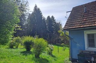 Haus mieten in 8076 Vasoldsberg, Landwirtschaft Nähe Graz mit Mietkaufoption - Ideal für Pferdehaltung!