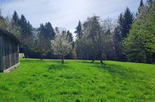 Haus kaufen in 8076 Vasoldsberg, Landwirtschaft Nähe Graz mit Mietkaufoption - Ideal für Pferdehaltung!