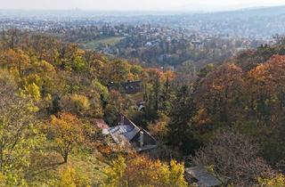 Einfamilienhaus kaufen in 1190 Wien, Ehemaliges Weinhauerhaus in einzigartiger Sieveringer Lage wartet auf Revitalisierung!