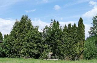 Grundstück zu kaufen in 9232 Sankt Martin, K3 - Baugrundstück mit Wald in Rosegg