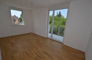 Wohnung mieten in Niesenbergergasse 47, 8020 Graz, Annenviertel - 59m² - 3 Zimmer - Süd & Westbalkon - Sofort beziehbar