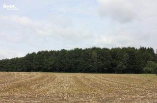 Gewerbeimmobilie kaufen in 3300 Amstetten, Landwirtschaftlich genutzte Grundstücke in 3300 Amstetten!!!