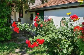 Haus kaufen in Schloss Rabensburg, Gemeindeamt, Ortszentrum, 2274 Rabensburg, Provisionsfrei - Romantisches kleines Juwel mit traumhaft großen Garten