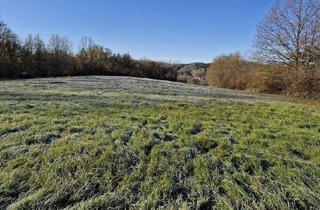 Grundstück zu kaufen in 7551 Stegersbach, Baugrundstück in ruhiger Aussichtslage