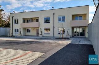 Wohnung mieten in Kirchengasse WE 1/21, 2285 Leopoldsdorf im Marchfelde, Betreubares Wohnen: 2-Zimmerwohnung im 1.OG mit Loggia