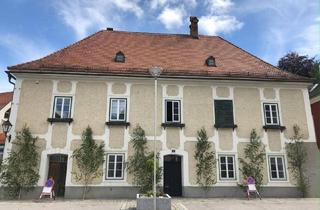 Haus kaufen in 3341 Ybbsitz, Historisches Herrenhaus mit kleinem Garten