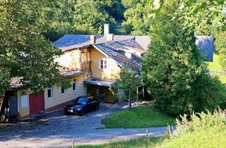 Mehrfamilienhaus kaufen in 3184 Türnitz, Renovierungsbedürftigen Haus mit 786 m² Gesamt-Nutzfläche - Ideal als Ferienhaus/Wohn - und Firmensitz oder Mehrfamilienhaus