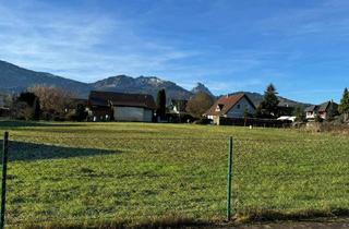 Grundstück zu kaufen in 4644 Scharnstein, TOP Grundstück - ZENTRUMSLAGE - SONNIG - EBEN - SCHÖNE AUSSICHT