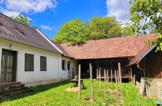 Haus kaufen in Oberwart, 7400 Oberwart, Burgenländischer Streckhof mit viel Potential - 1679 m² Grundstück BW in Kemeten!