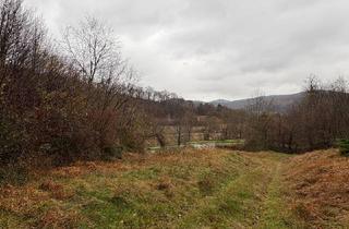 Grundstück zu kaufen in 3013 Tullnerbach-Lawies, Idyllisches Grundstück nahe Wienerwaldsee!